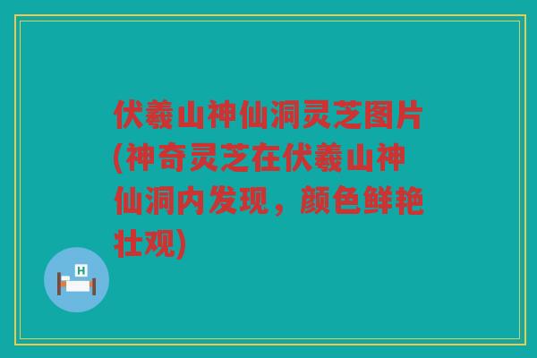 伏羲山神仙洞灵芝图片(神奇灵芝在伏羲山神仙洞内发现，颜色鲜艳壮观)
