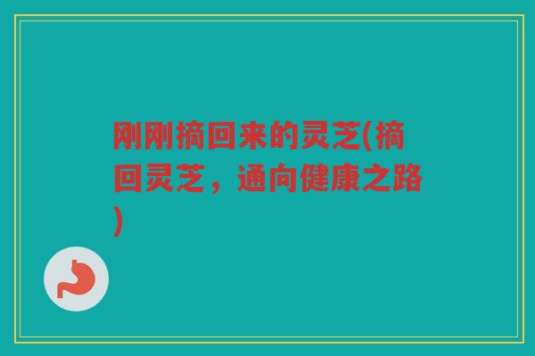 刚刚摘回来的灵芝(摘回灵芝，通向健康之路)