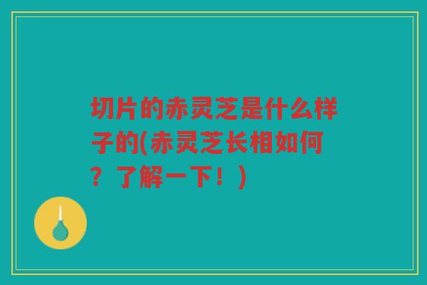 切片的赤灵芝是什么样子的(赤灵芝长相如何？了解一下！)