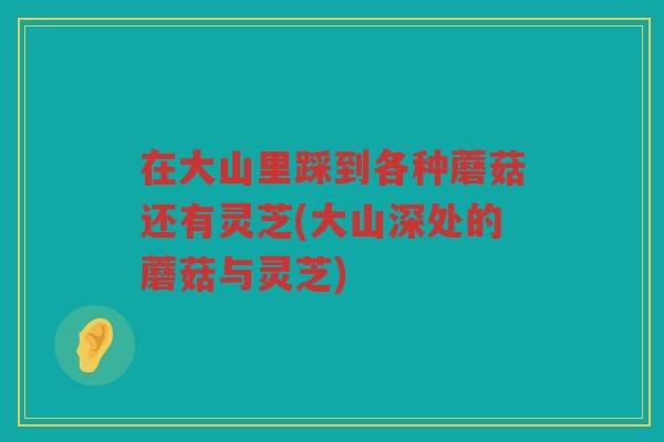 在大山里踩到各种蘑菇还有灵芝(大山深处的蘑菇与灵芝)