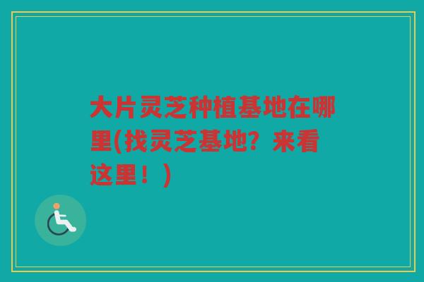 大片灵芝种植基地在哪里(找灵芝基地？来看这里！)