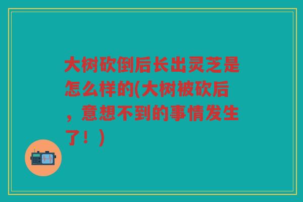 大树砍倒后长出灵芝是怎么样的(大树被砍后，意想不到的事情发生了！)