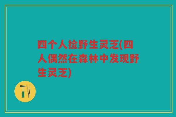 四个人捡野生灵芝(四人偶然在森林中发现野生灵芝)