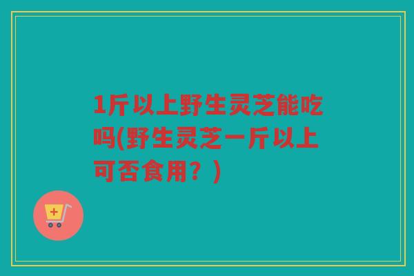 1斤以上野生灵芝能吃吗(野生灵芝一斤以上可否食用？)