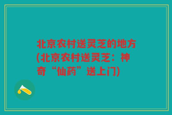 北京农村送灵芝的地方(北京农村送灵芝：神奇“仙药”送上门)