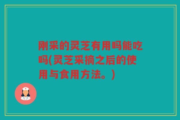 刚采的灵芝有用吗能吃吗(灵芝采摘之后的使用与食用方法。)