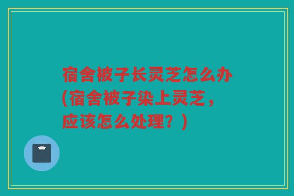 宿舍被子长灵芝怎么办(宿舍被子染上灵芝，应该怎么处理？)