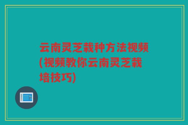 云南灵芝栽种方法视频(视频教你云南灵芝栽培技巧)