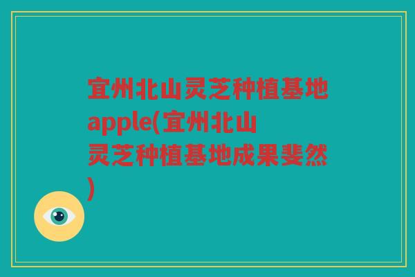 宜州北山灵芝种植基地apple(宜州北山灵芝种植基地成果斐然)