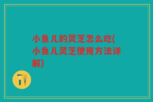 小鱼儿的灵芝怎么吃(小鱼儿灵芝使用方法详解)