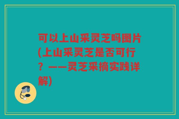 可以上山采灵芝吗图片(上山采灵芝是否可行？——灵芝采摘实践详解)