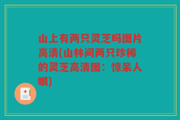 山上有两只灵芝吗图片高清(山林间两只珍稀的灵芝高清图：惊呆人眼)