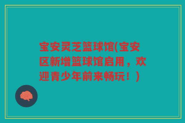 宝安灵芝篮球馆(宝安区新增篮球馆启用，欢迎青少年前来畅玩！)