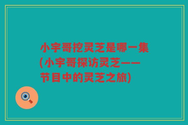 小宇哥挖灵芝是哪一集(小宇哥探访灵芝——节目中的灵芝之旅) 小宇哥挖灵芝是哪一集(小宇哥探访灵芝——节目中的灵芝之旅)