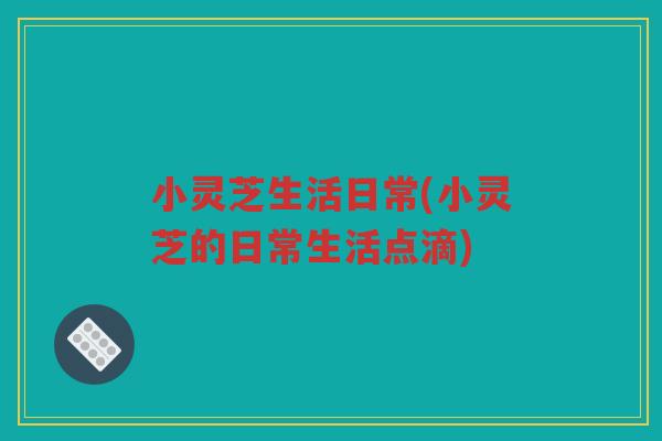 小灵芝生活日常(小灵芝的日常生活点滴)