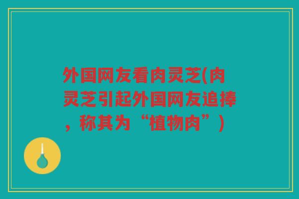 外国网友看肉灵芝(肉灵芝引起外国网友追捧,称其为“植物肉”) 外国网友看肉灵芝(肉灵芝引起外国网友追捧,称其为“植物肉”)