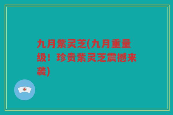 九月紫灵芝(九月重量级！珍贵紫灵芝震撼来袭)