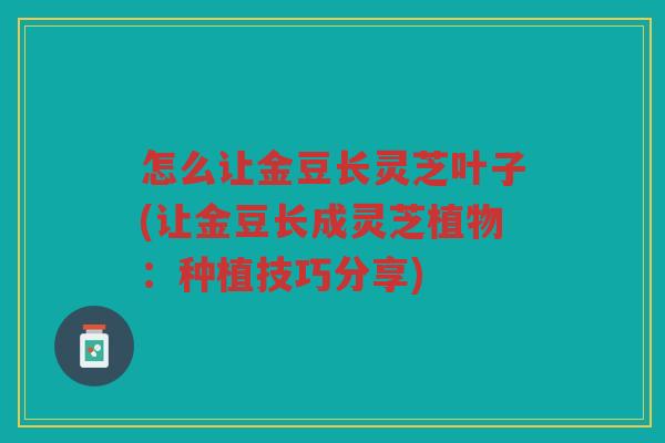 怎么让金豆长灵芝叶子(让金豆长成灵芝植物:种植技巧分享) 怎么让金豆长灵芝叶子(让金豆长成灵芝植物:种植技巧分享)