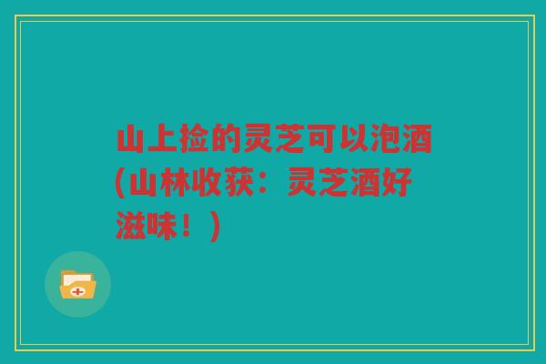 山上捡的灵芝可以泡酒(山林收获：灵芝酒好滋味！)
