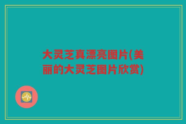 大灵芝真漂亮图片(美丽的大灵芝图片欣赏)