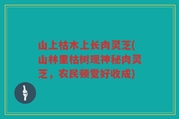山上枯木上长肉灵芝(山林里枯树现神秘肉灵芝，农民顿觉好收成)