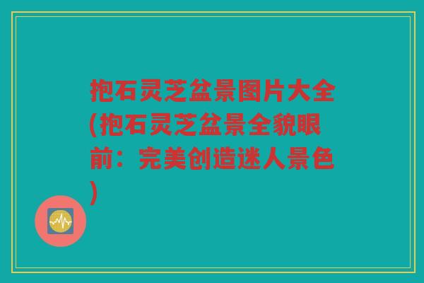 抱石灵芝盆景图片大全(抱石灵芝盆景全貌眼前：完美创造迷人景色)