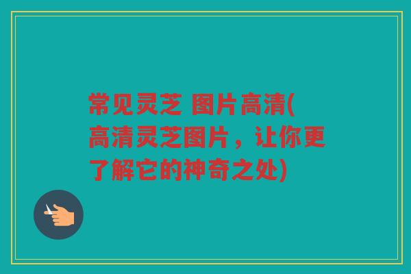 常见灵芝 图片高清(高清灵芝图片，让你更了解它的神奇之处)