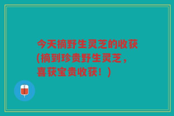 今天摘野生灵芝的收获(摘到珍贵野生灵芝，喜获宝贵收获！)