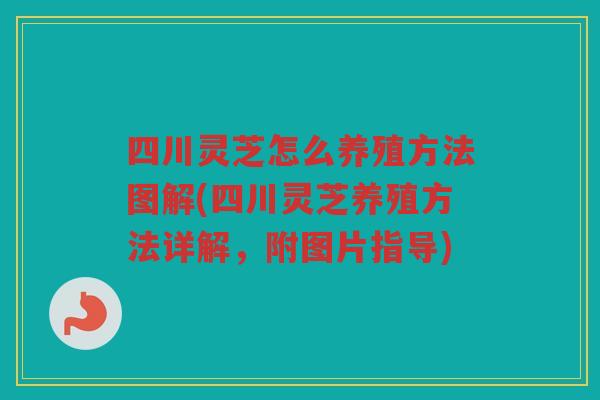 四川灵芝怎么养殖方法图解(四川灵芝养殖方法详解，附图片指导)
