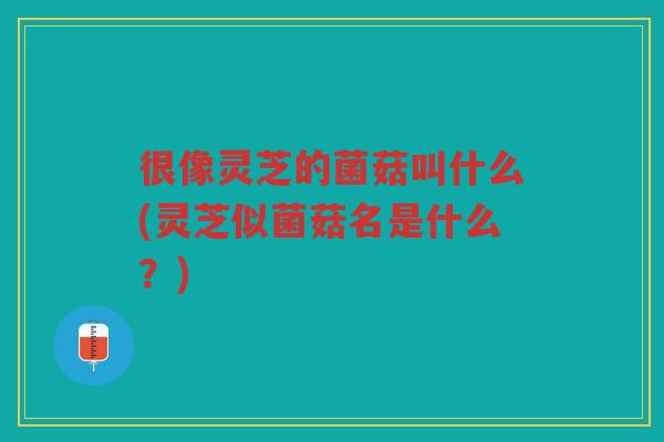 很像灵芝的菌菇叫什么(灵芝似菌菇名是什么?) 很像灵芝的菌菇叫什么(灵芝似菌菇名是什么?)