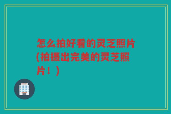 怎么拍好看的灵芝照片(拍摄出完美的灵芝照片！)