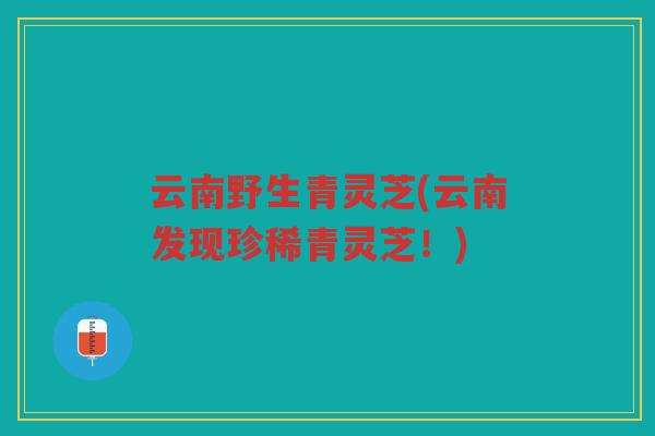 云南野生青灵芝(云南发现珍稀青灵芝！)