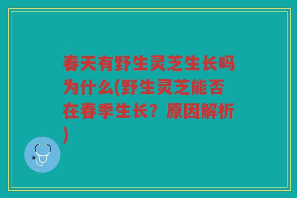 春天有野生灵芝生长吗为什么(野生灵芝能否在春季生长？原因解析)