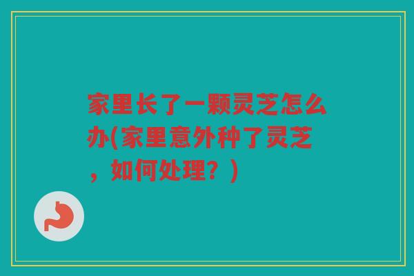 家里长了一颗灵芝怎么办(家里意外种了灵芝，如何处理？)