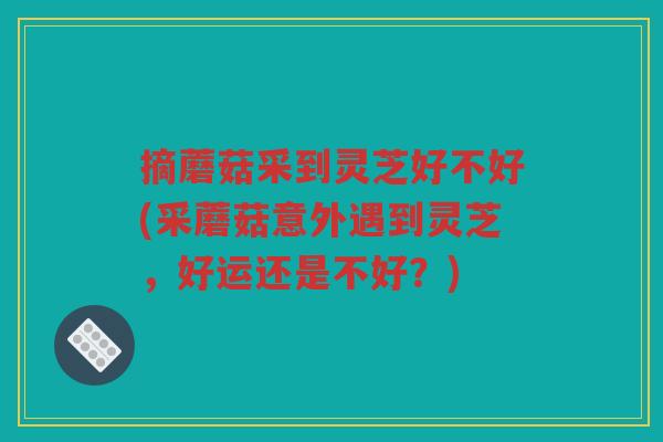 摘蘑菇采到灵芝好不好(采蘑菇意外遇到灵芝，好运还是不好？)