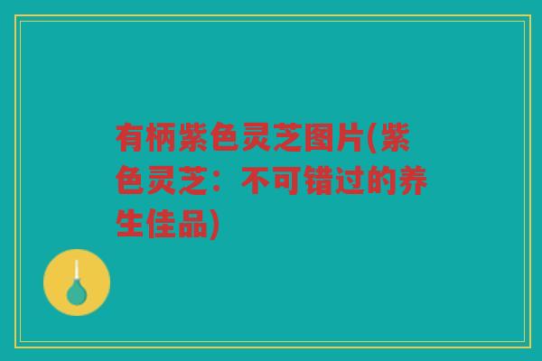 有柄紫色灵芝图片(紫色灵芝：不可错过的养生佳品)