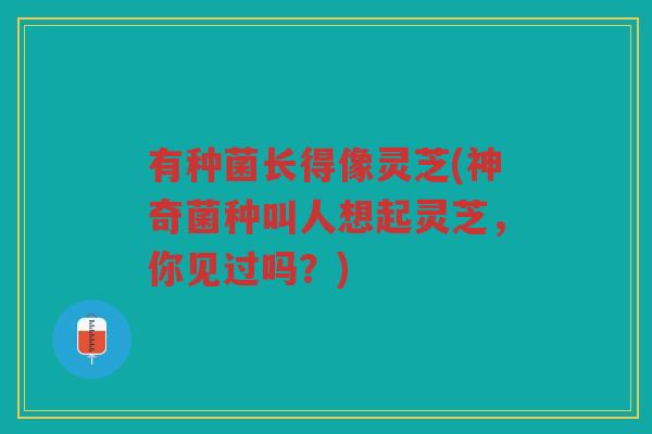 有种菌长得像灵芝(神奇菌种叫人想起灵芝，你见过吗？)