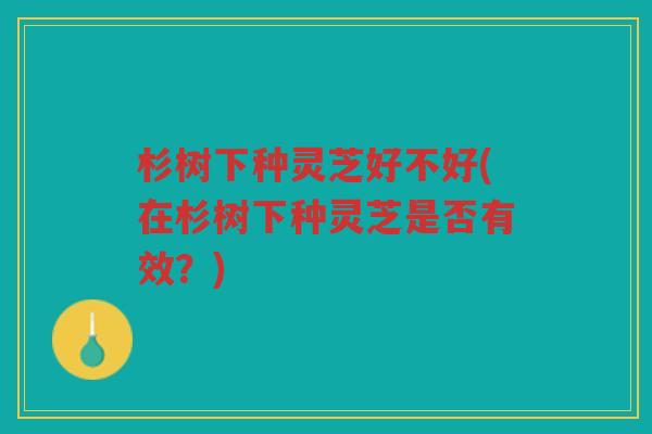 杉树下种灵芝好不好(在杉树下种灵芝是否有效？)