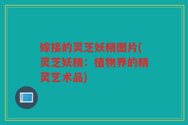 嫁接的灵芝妖精图片(灵芝妖精：植物界的精灵艺术品)