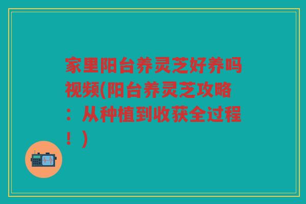 家里阳台养灵芝好养吗视频(阳台养灵芝攻略：从种植到收获全过程！)