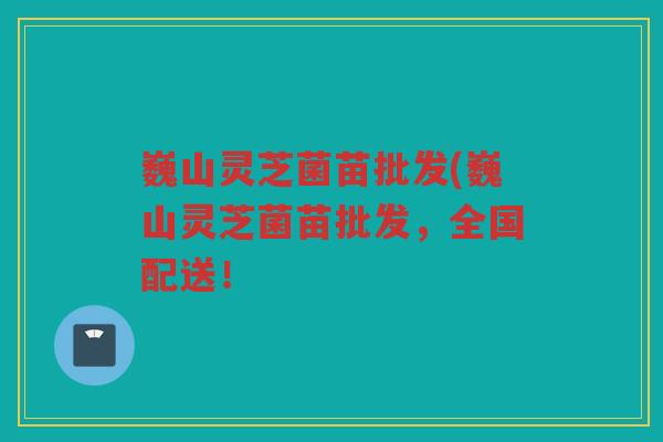 巍山灵芝菌苗批发(巍山灵芝菌苗批发，全国配送！