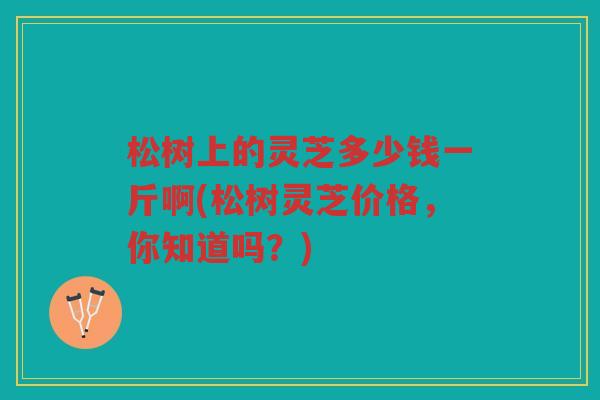 松树上的灵芝多少钱一斤啊(松树灵芝价格，你知道吗？)