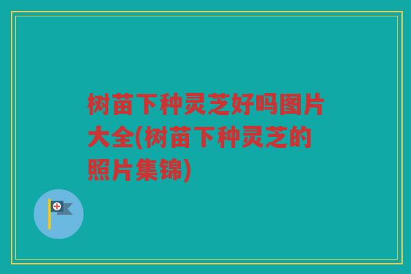 树苗下种灵芝好吗图片大全(树苗下种灵芝的照片集锦)