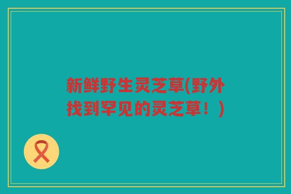 新鲜野生灵芝草(野外找到罕见的灵芝草！)