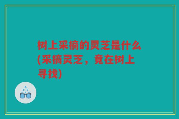 树上采摘的灵芝是什么(采摘灵芝，竟在树上寻找)