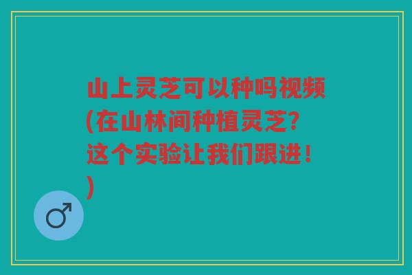 山上灵芝可以种吗视频(在山林间种植灵芝？这个实验让我们跟进！)