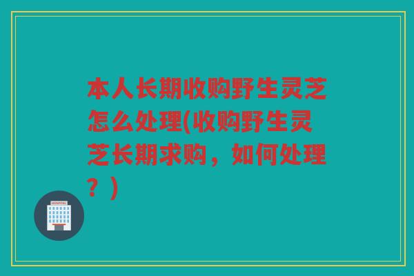 本人长期收购野生灵芝怎么处理(收购野生灵芝长期求购，如何处理？)