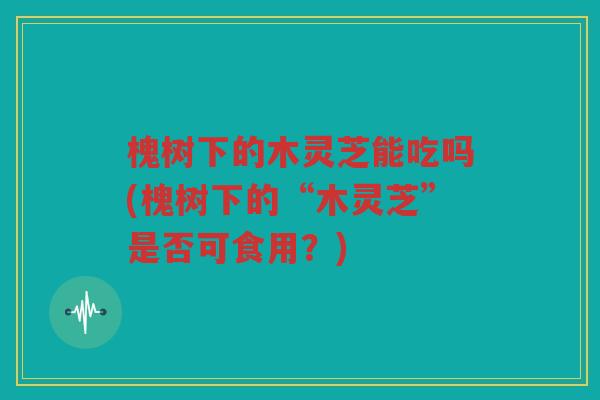 槐树下的木灵芝能吃吗(槐树下的“木灵芝”是否可食用?) 槐树下的木灵芝能吃吗(槐树下的“木灵芝”是否可食用?)