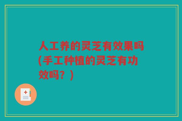 人工养的灵芝有效果吗(手工种植的灵芝有功效吗?) 人工养的灵芝有效果吗(手工种植的灵芝有功效吗?)