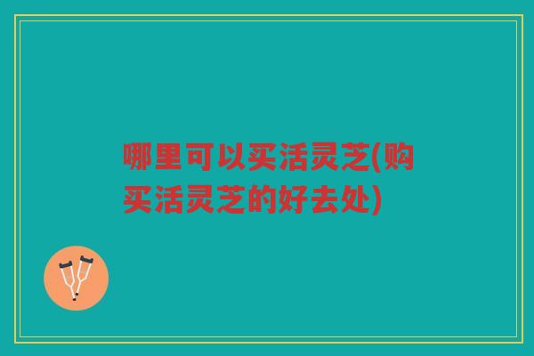 哪里可以买活灵芝(购买活灵芝的好去处)